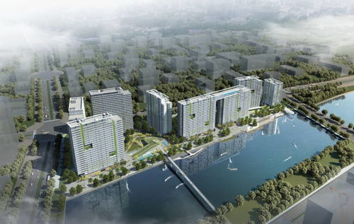 深圳近期樓市動態 會展灣水岸公寓銷售火爆，興辦實業熱潮助推房價