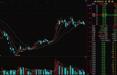 精準解析遠望谷 興辦實業(yè)的戰(zhàn)略與前景